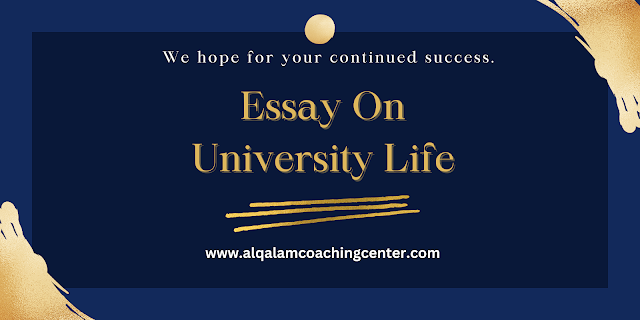 Essay On University Life