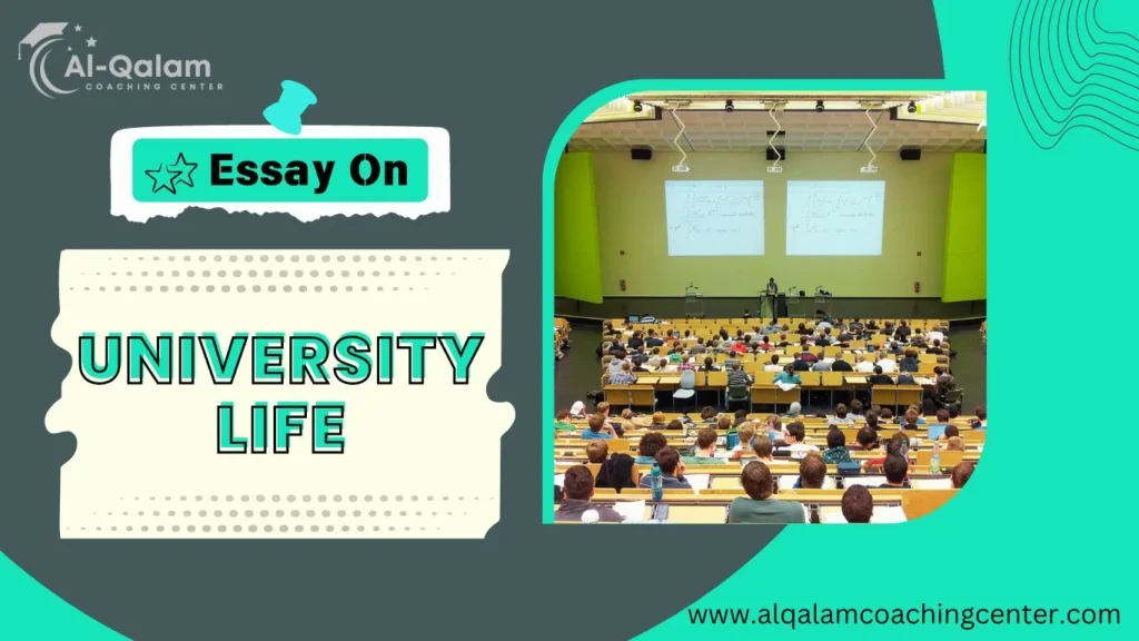 essay on university life